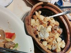-点都德·毕德寮