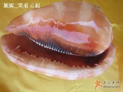 -亚龙湾中心广场·贝壳馆