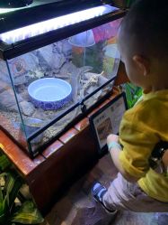 -酷嗒动物文化乐园(cutezoo西溪乐天城店)