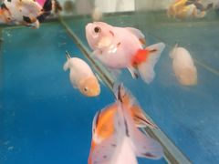 -长春农业博览园