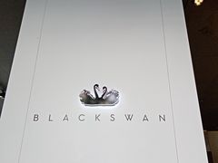 -BLACKSWAN黑天鹅(环球店)