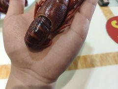 -老三龙虾(汉阳杨泗庙店)