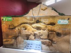 -上海昆虫博物馆