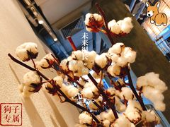 景观位-喜茶(中山白水井店)