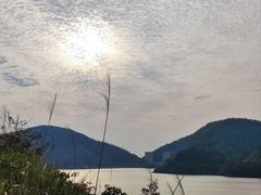 -长沙黑麋峰国家森林公园