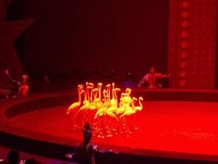 -珠海横琴长隆《卡卡虎奇遇记》