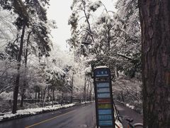 -中国人民解放军联勤保障部队第九〇三医院(九里松院区)