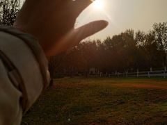 -北京国家会计学院