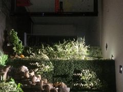 -东方菩提养生SPA馆(武昌总店)