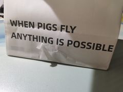 -WHEN PIGS FLY当猪飞