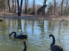 -北京野生动物园