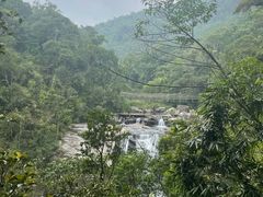 -海南热带雨林国家公园吊罗山景区