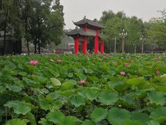 -四川大学(望江校区)