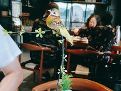 -好旺角齐市鲜切牛自助烤肉(农林五道街总店)