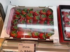 -阪急百货店(梅田总店)