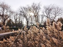 -百脉泉景区