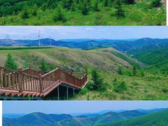 -草原天路(张北县)