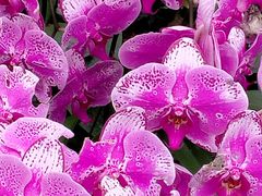 -兰陵国家农业公园