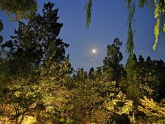 -杭州西湖柳莺里酒店·闻莺厅