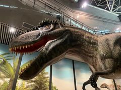 -湖南省地质博物馆