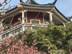 -无锡梅园公园