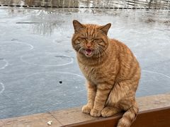 -积水潭(地铁站)