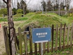 -前小桔亲子创意农场·草莓采摘·露营烧烤