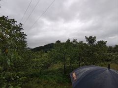 -翠矶山公园