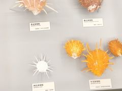 -天津古林古海岸遗迹博物馆