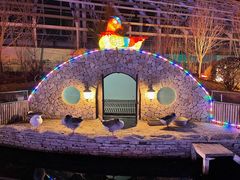 -南宫五洲植物乐园