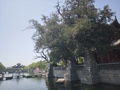 -百泉景区