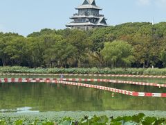 -金鸡湖桃花岛