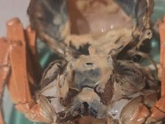 -上海龙吴水胜海发市场