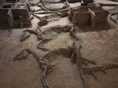 -洛阳周王城天子驾六博物馆