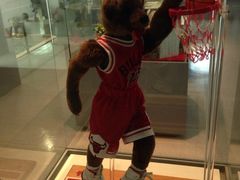 iphone_upload_pic-济州岛泰迪熊博物馆