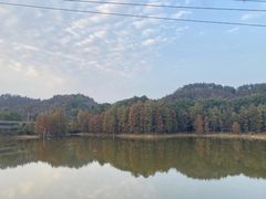 -青龙山国家森林公园