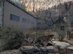 -南京市江宁方山