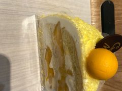 -可莎蜜兒(金城店)