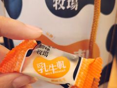 -瑞穗牧场