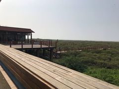 -北海金海湾红树林生态旅游区