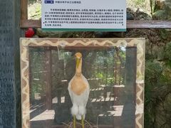 -青青世界