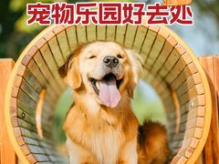 -爪吧宠物乐园·宠物泳池(温榆河示范区店)