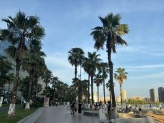 -金沙湖公园