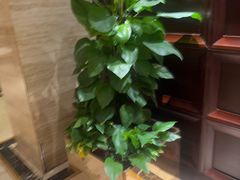 -洛阳宴·洛阳菜(南昌路店)
