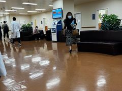 -上海市东方医院(总院)