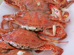 -考记泥焗鸡农庄·海鲜(北洛秘境店)