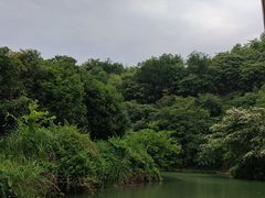 -天河潭旅游度假区