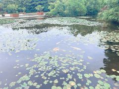 -白马涧龙池景区