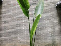 -归觅·西关小姐人文艺术馆(荔枝湾店)