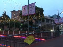 -上海市第七人民医院